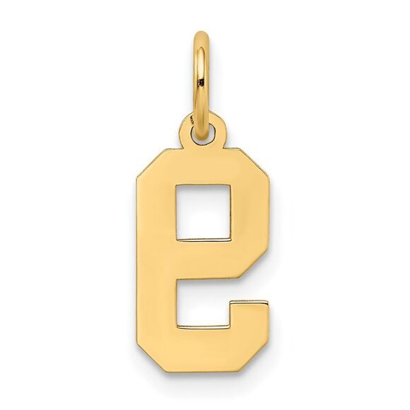 14k Yellow Gold, Jersey Collection, Small Number 9 Pendant - Picture 3 of 5